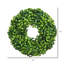 Mini couronne à feuilles artificielle 10 po