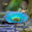 Bain d'oiseaux solaire Denka