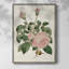 «Pink Floral Mix II», reproduction encadrée - bois massif-1924169862