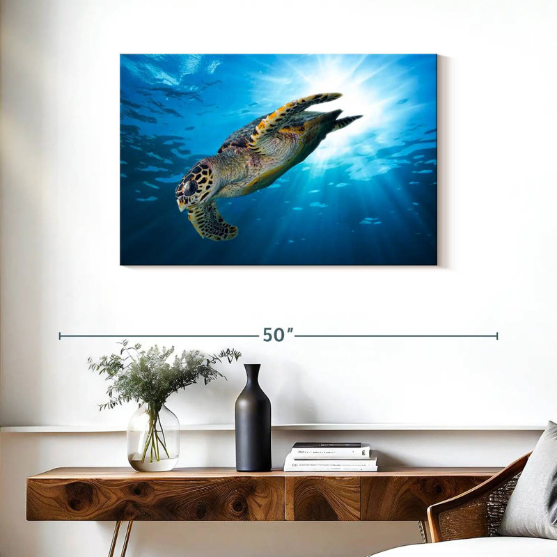 Brampt Hawksbill Turtle Dive, 24" H x 36" W