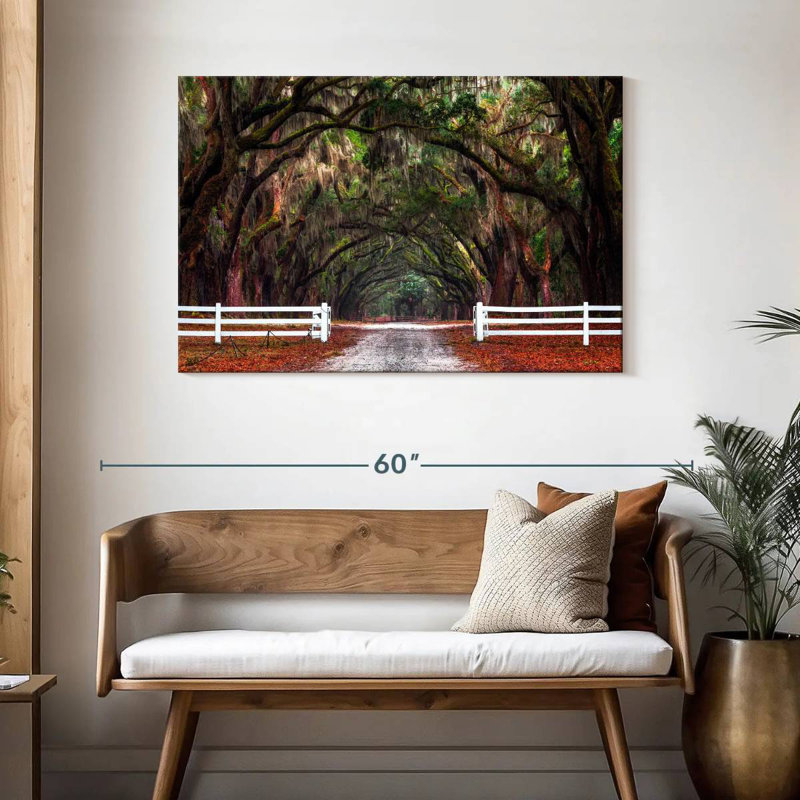 Arbres du site historique Ravi Wormsloe, H 30 po x l 45 po