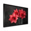 Photo de jonquilles goutte de pluie monochrome noir et rouge - jonquilles murales-51243003-51241991