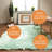 Diller Mint Faux Fur Machine Washable Shag Fluffy Area Rug-499802031