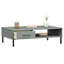 Table basse simple avec rangement Mikylee-629649958