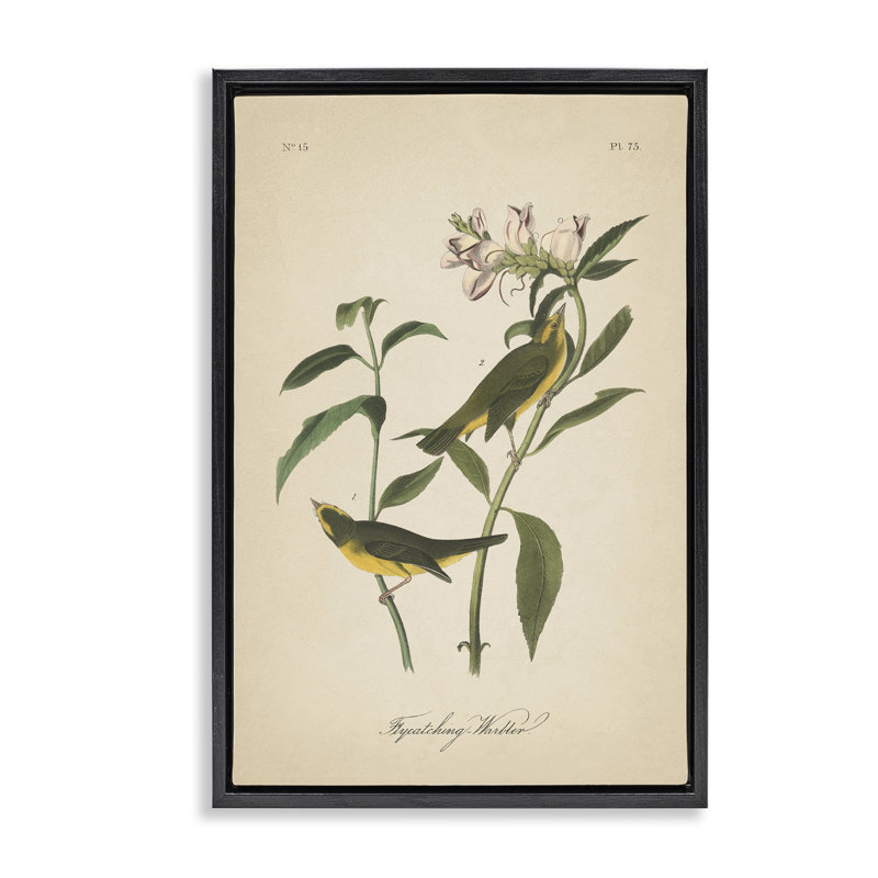 Toile flottante rétro encadrée par Wild Apple, Cadre flottant noir de jais, H 31 po x l 21 po
