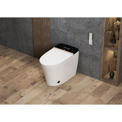 Elongated Smart Toilet Bidet with Dual Flush, Luxury Auto Flush, Auto Open and Close, Heated Seat