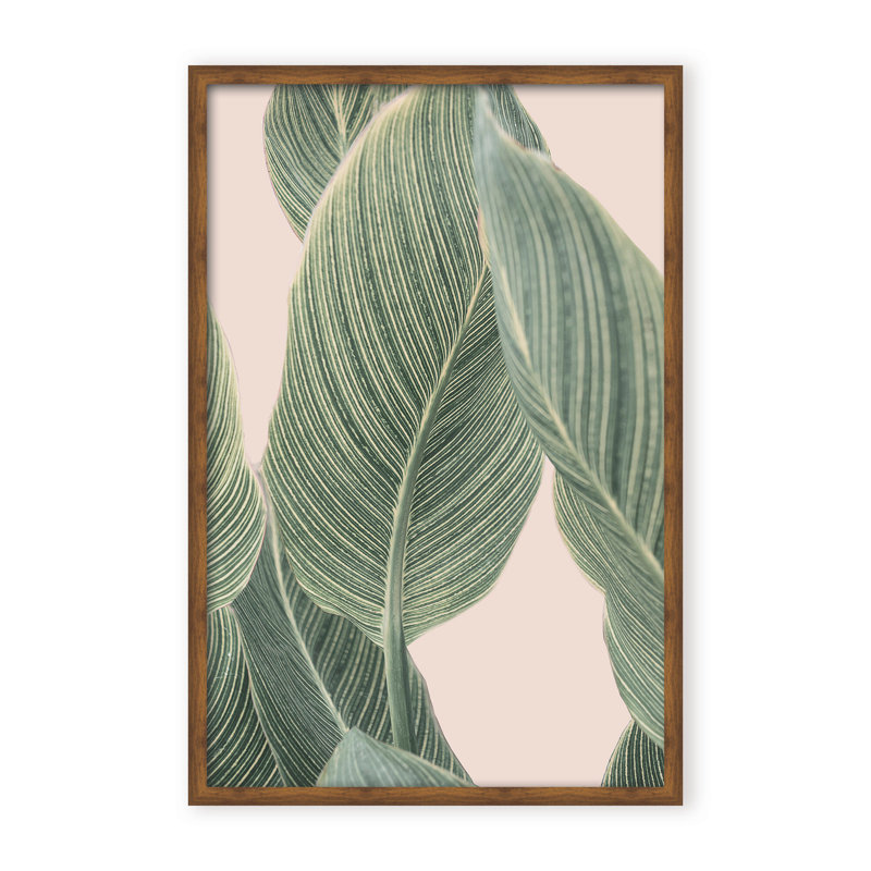 Coastal Retreat Calla Leaf by  - Picture Frame Graphic Art on Paper, Framed Canvas, Brown, 48" H x 32" W x 2.375" D