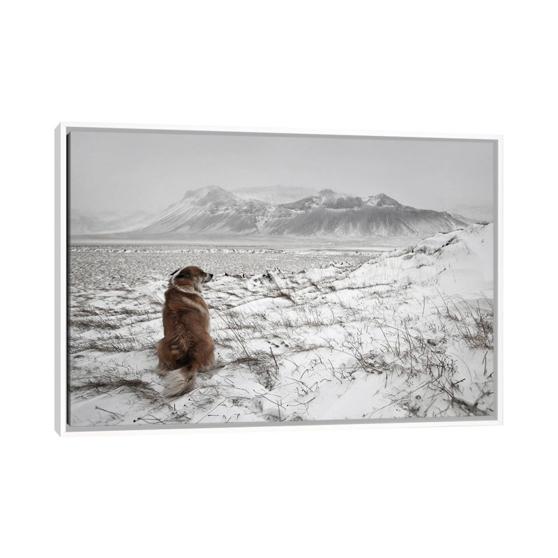 Snowstorm by Bragi Ingibergsson - Print on Canvas