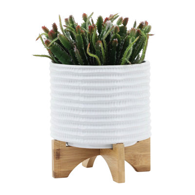 Pot à fleurs en céramique de 8 po avec support en blanc, parfait pour les jardins intérieurs