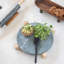 Pacific Granite Cutting Board
