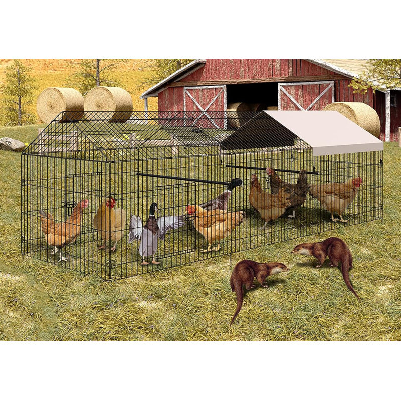 Poulailler d'extérieur en fil métallique, H 39,37 po x l 39,37 po x P 129,92 po