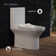 Cascade One-Piece Toilet Dual-Flush 0.8/1.28 gpf