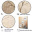 Chêne beige solitude II-232036167-232036164