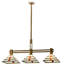Prairie 3 - Light Pendant