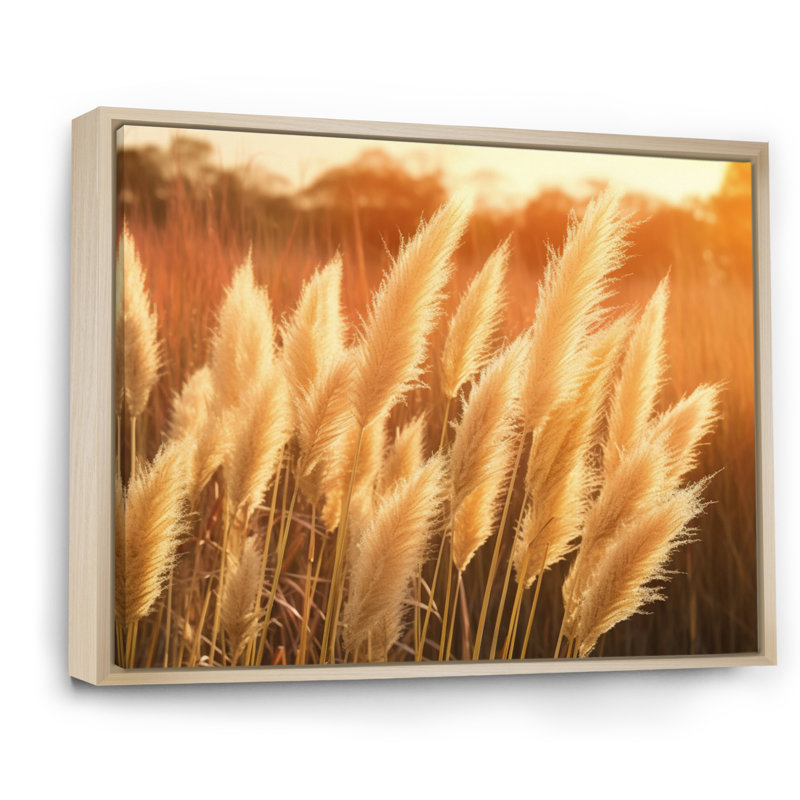«White Pampas Meadows At Sunset» sur toile, H 24 po x l 32 po x P 1 po, Cadre naturel flottant