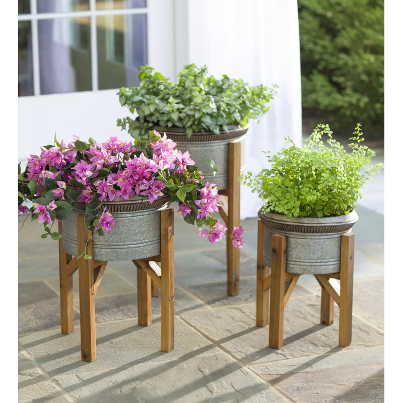 Set of 3 Galvanized Metal Planters with Wooden Stands