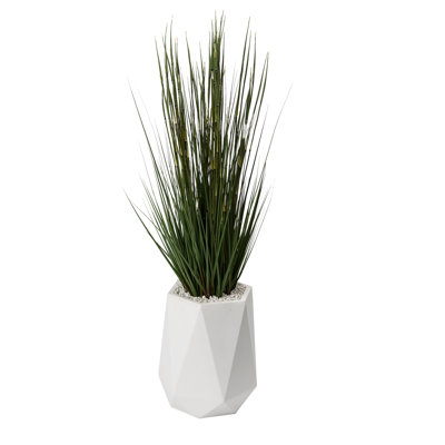 Faux oignon 50 po en pot