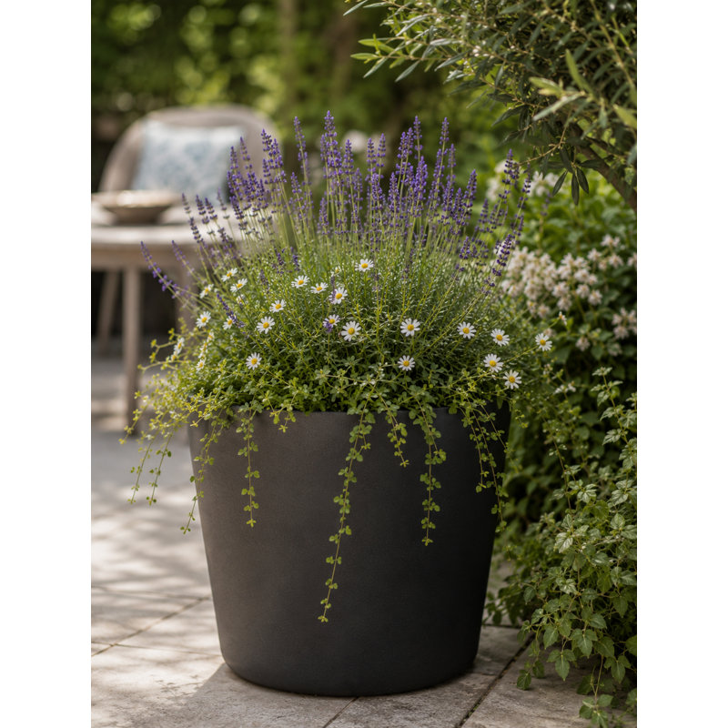 Robin Round Bucket Planter, Contemporary Concrete Effect, Round Indoor and Outdoor Plant Pot with Drainage Hole, Black