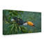 «Toco Toucan», reproduction de peinture acrylique sur toile tendue-33539089