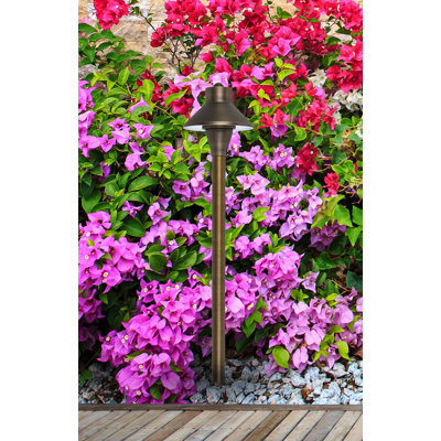 Spilsby Low Voltage Pathway Light
