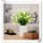 Lillies Arrangement