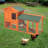 Demyah 8.76 Square Feet Chicken Coop for up to 2 Chickens