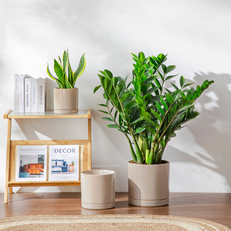 FLHPOT Ceramic Pot Planter, Grey