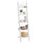 Williar 188cm H x 56cm W Ladder Bookcase