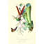 Hummingbird On Bromelaid Print by Porter Design-26924791-26924792