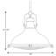 Luminaire suspendu en dome à 1 lumière-22173744-21228103