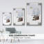 Cozy Christmas Collection B-1455163528-1455163534