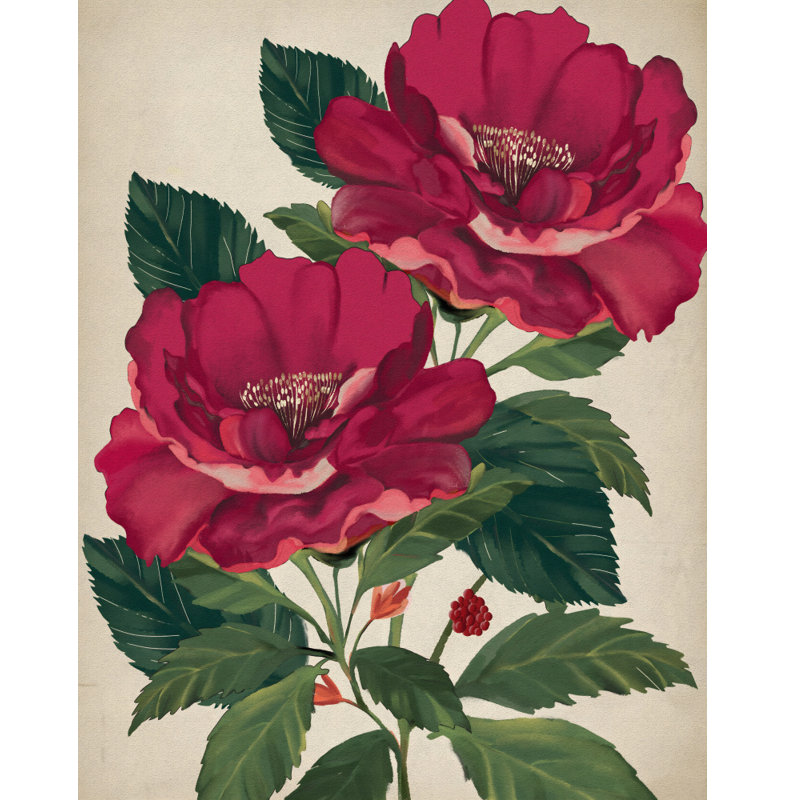 Wrapped Canvas Print, 76.2cm H x 50.8 cm W