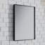 Miroir mural Earsell-943546719-953616033