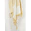 Hopkins 100% Cotton Throw-1880498839