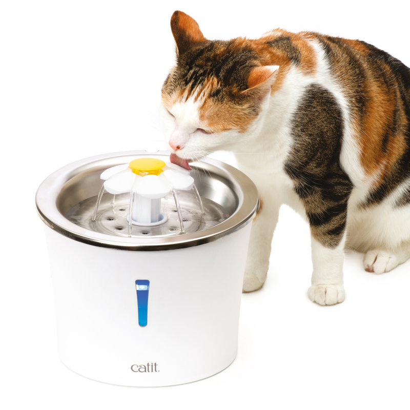 Pet Fountain