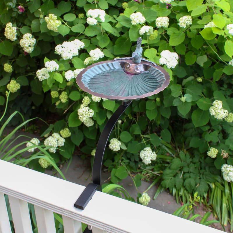 Verdigris Brass Scallop Shell Birdbath with Iron Rail Mount