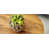 Natural / Wood n'est pas disponible