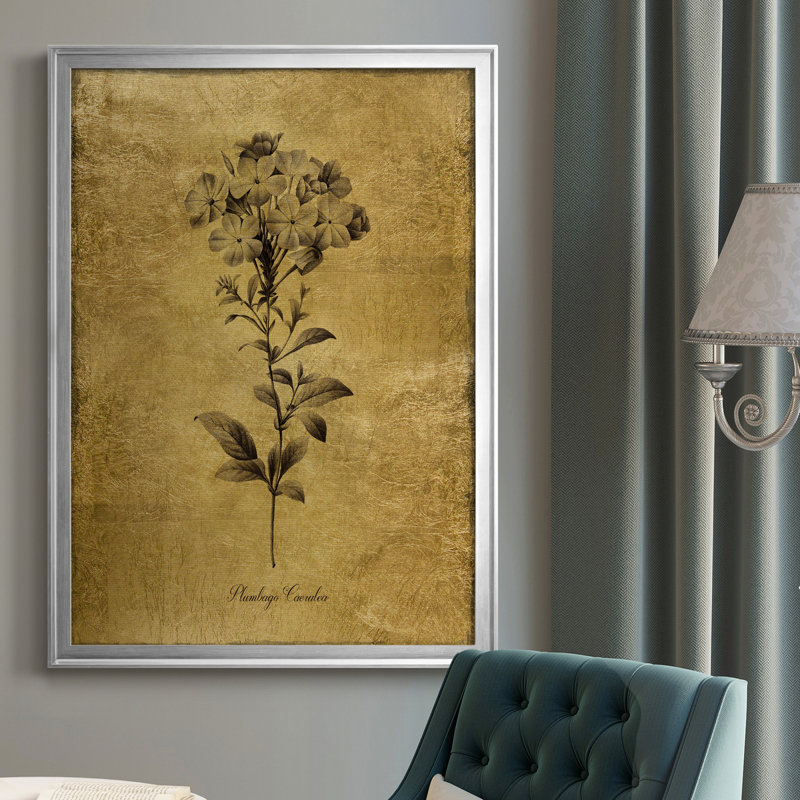 Ameelya, croquis dorés botaniques II, impression sur toile encadrée, Argent, H 26,5 po x l 36,5 po x P 1,5 po