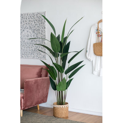 71.7'' Faux Birds Of Paradise Plant in Pot