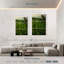 Gillard Mossy Vietnam Gillard-108591550