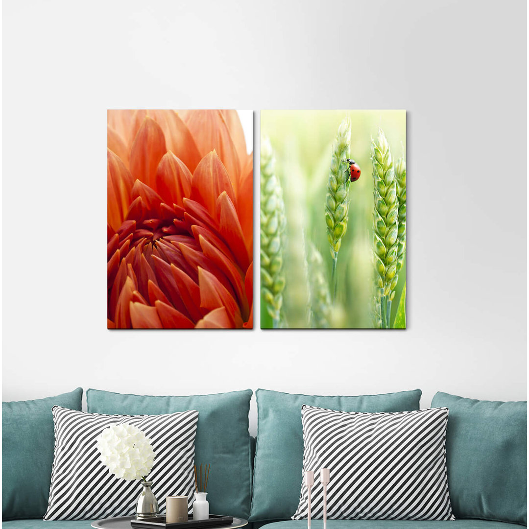 2-tlg. Leinwandbilder-Set - Fotografie „Dahlia Red Flower Wheat Ladybird Lucky Beetle Summer Relaxing”