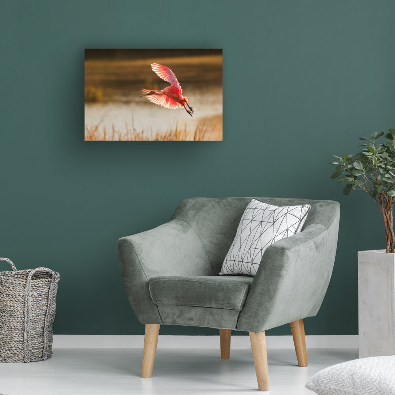 Art sur toile «Spoonbill» bolologien Aijing H., H 12 po x l 19 po