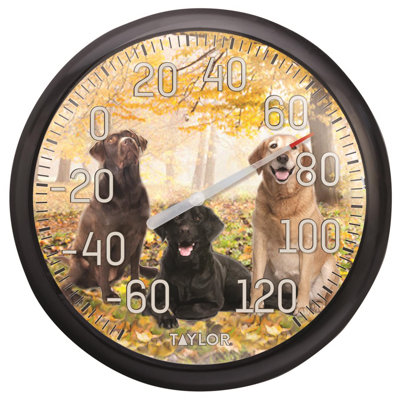 Thermomètre à cadran 13,25 po Labrador