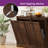 Balconera Tilt Out Double Trash Can  Cabinet With Power Outlets & Adjustable Shelves-101368019