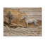 Cheval, rivière, rivière, horizon, cavalier I - décoration murale cheval en bois - bois de pin naturel-1237174591