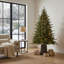 Sapin de Fraser Jasper Elite avec DEL