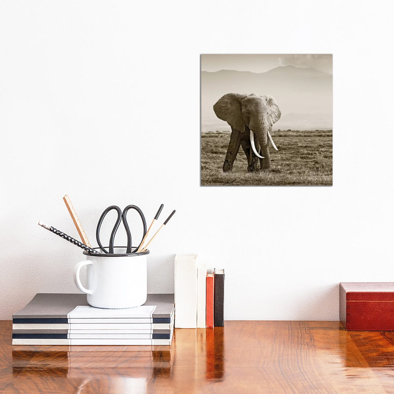Big Tusked Elephant 1 Piece Wall Art on Canvas, 30.48 cm H x 30.48 cm W, Wrapped Canvas