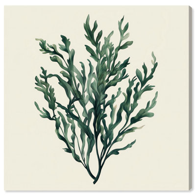Green Elegance Beneath I Canvas Vintage Botanic Art by Art Remedy
