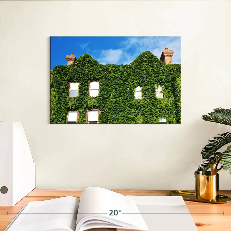 Maison couverte de plantes, H 8 po x l 12 po