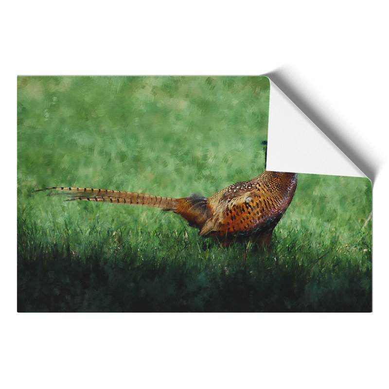 Pheasant Bird Vol.2 - No Frame Print, 30cm H x 42cm W x 0.1cm D